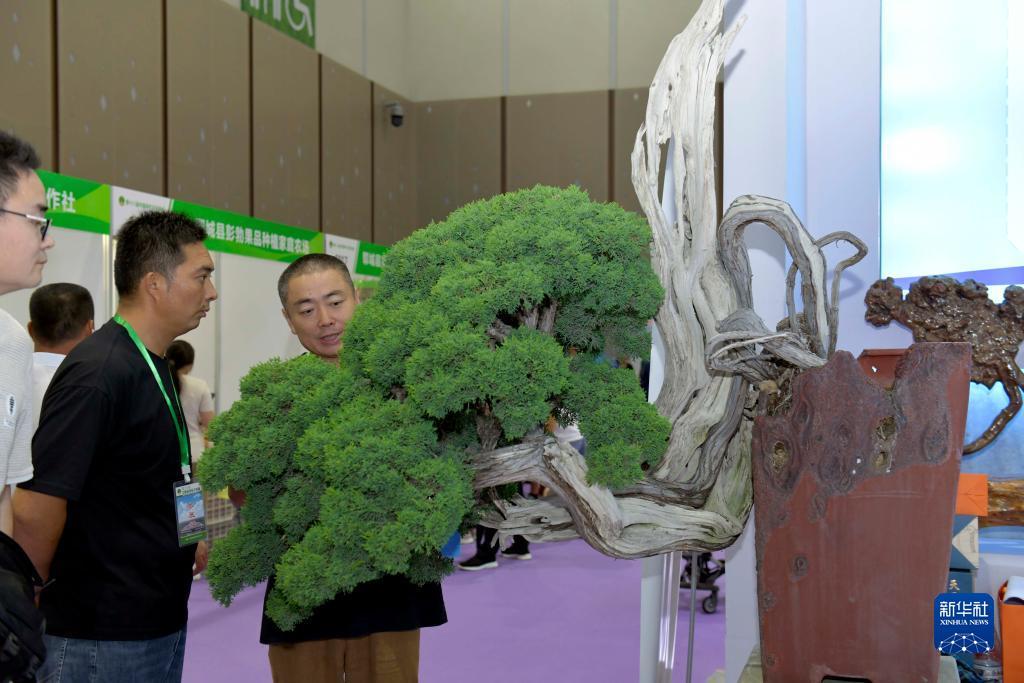 金钱豹vip贵宾相信您的选择